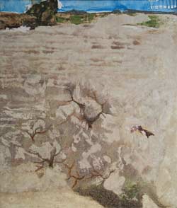 Franco Pedrina - Paesaggio